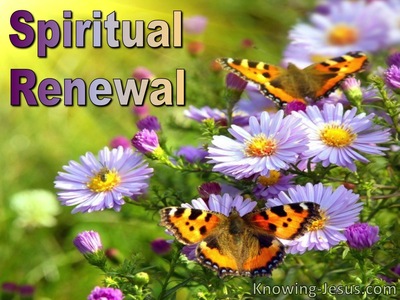 Spiritual Renewal (devotional)11-03 (pink)